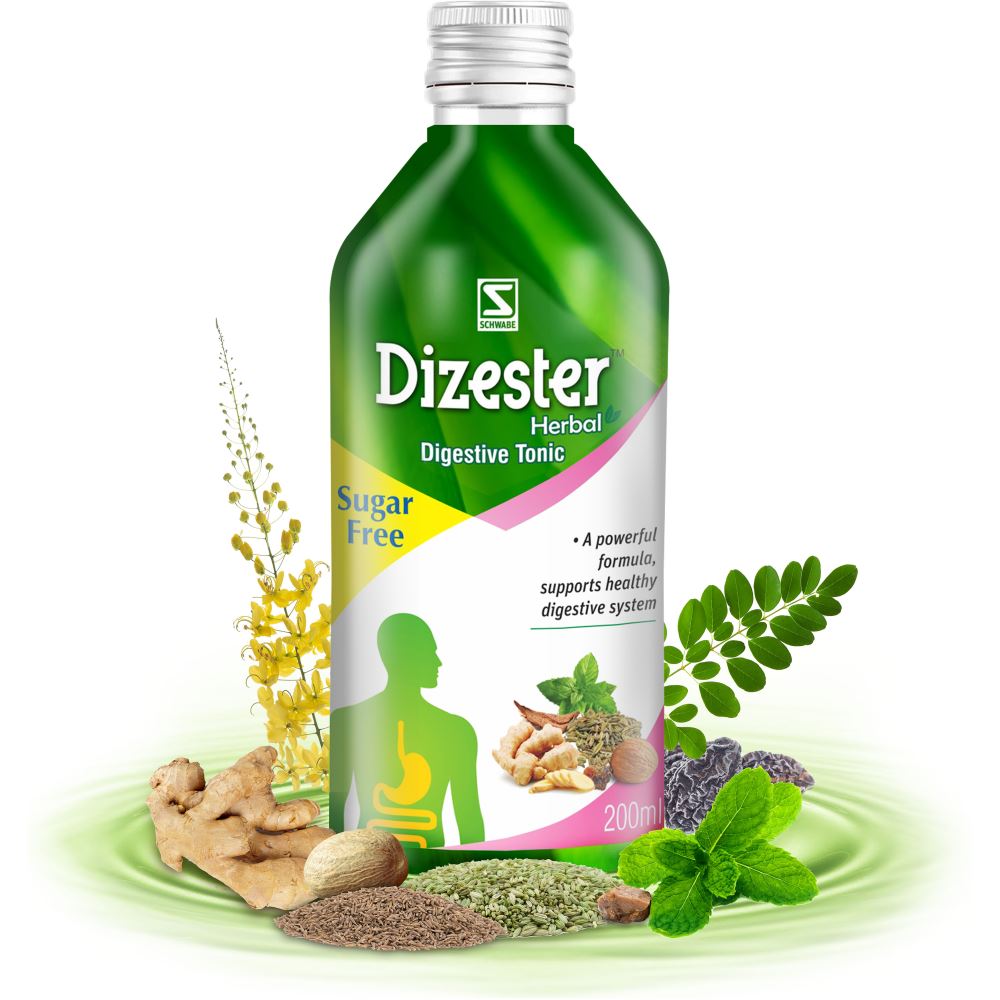 Willmar Schwabe India Dizester Herbal 200ml