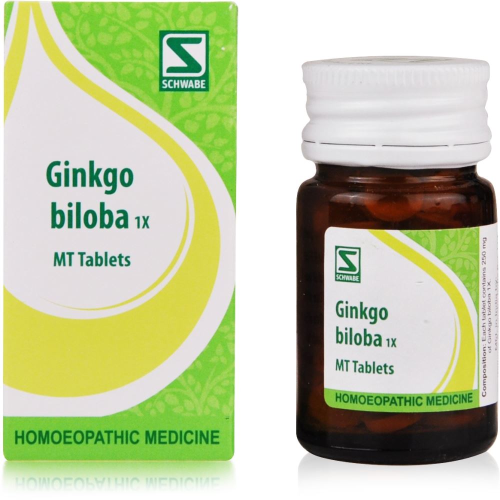 Willmar Schwabe India Ginkgo Biloba 1X 20g