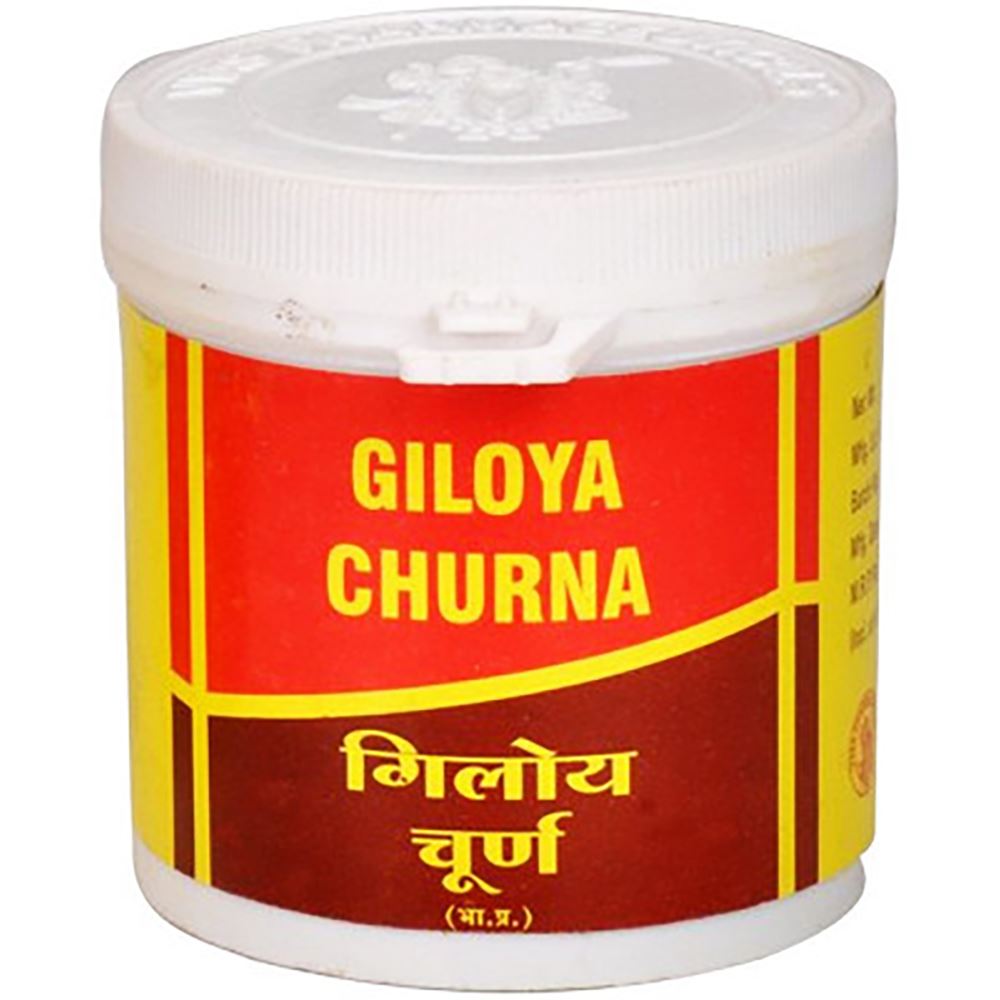 Vyas Giloy Churna 100g, Pack of 2
