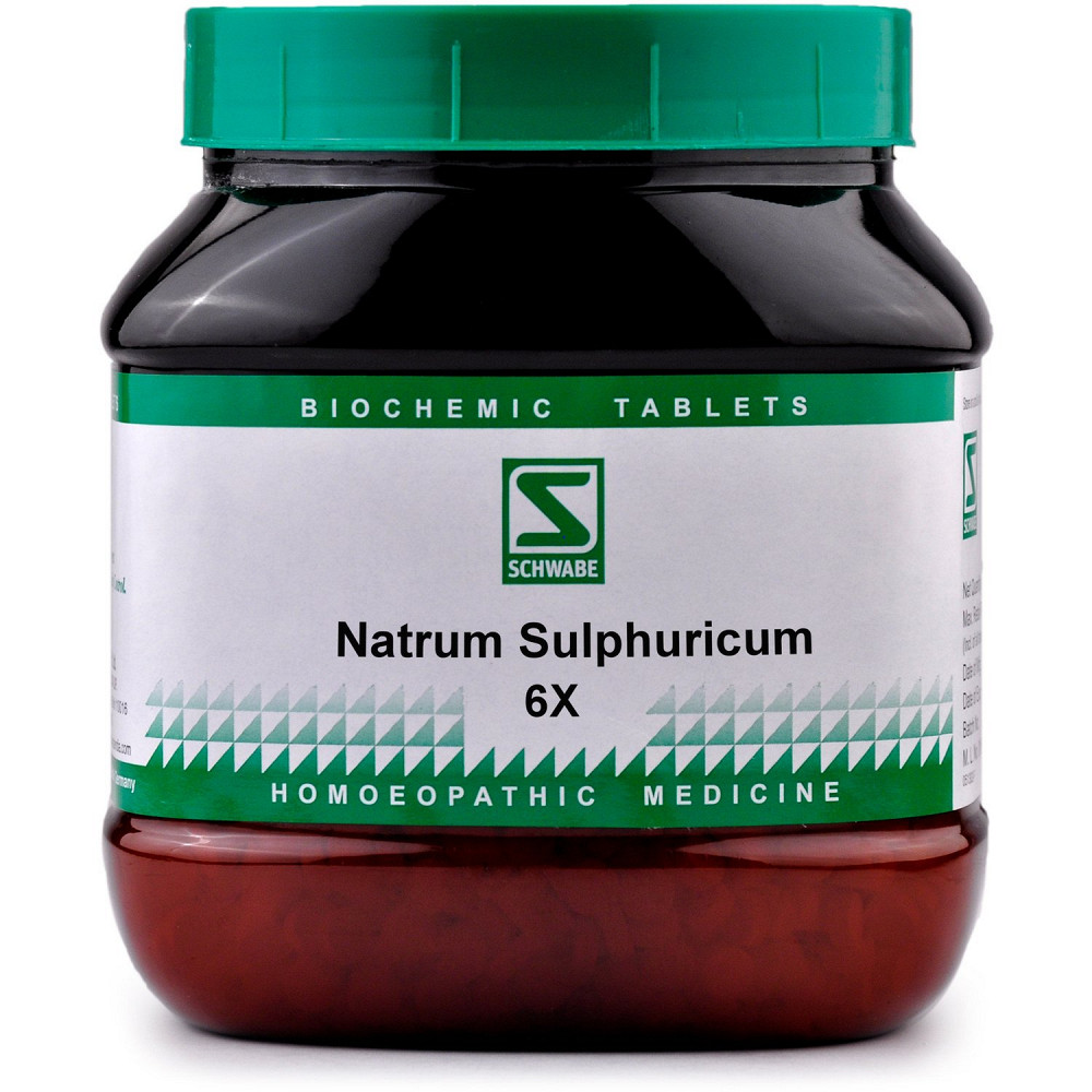 Willmar Schwabe India Natrum Sulphuricum 6X 550g
