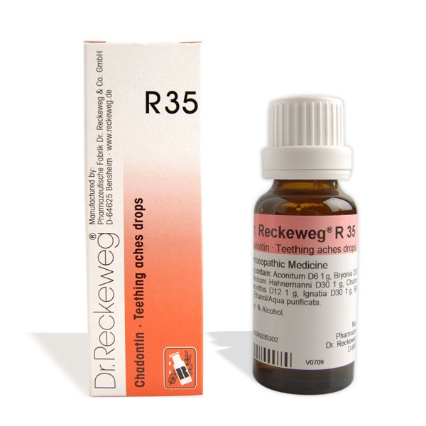 Dr. Reckeweg R35 Chadontin 22ml Dr. Reckeweg R35 Chadontin 22ml