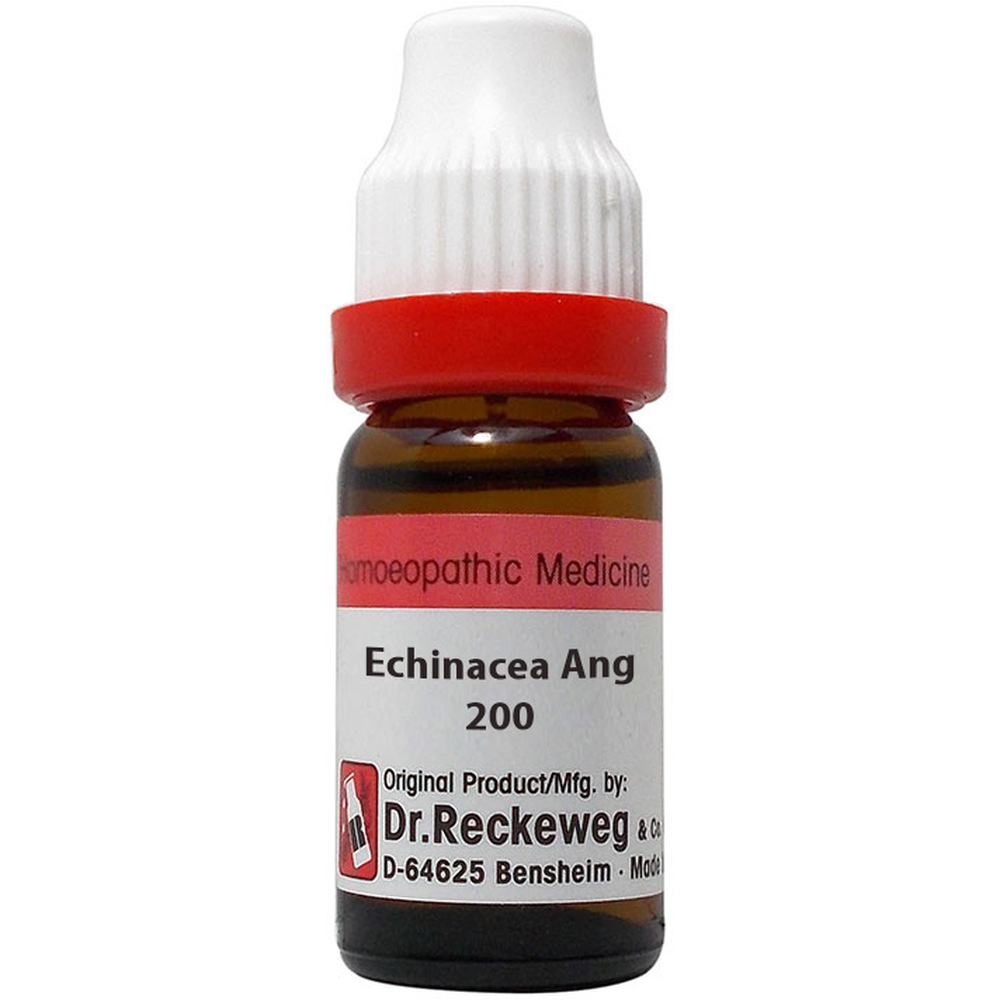 Dr. Reckeweg Echinacea Angustifolia 200 CH 11ml