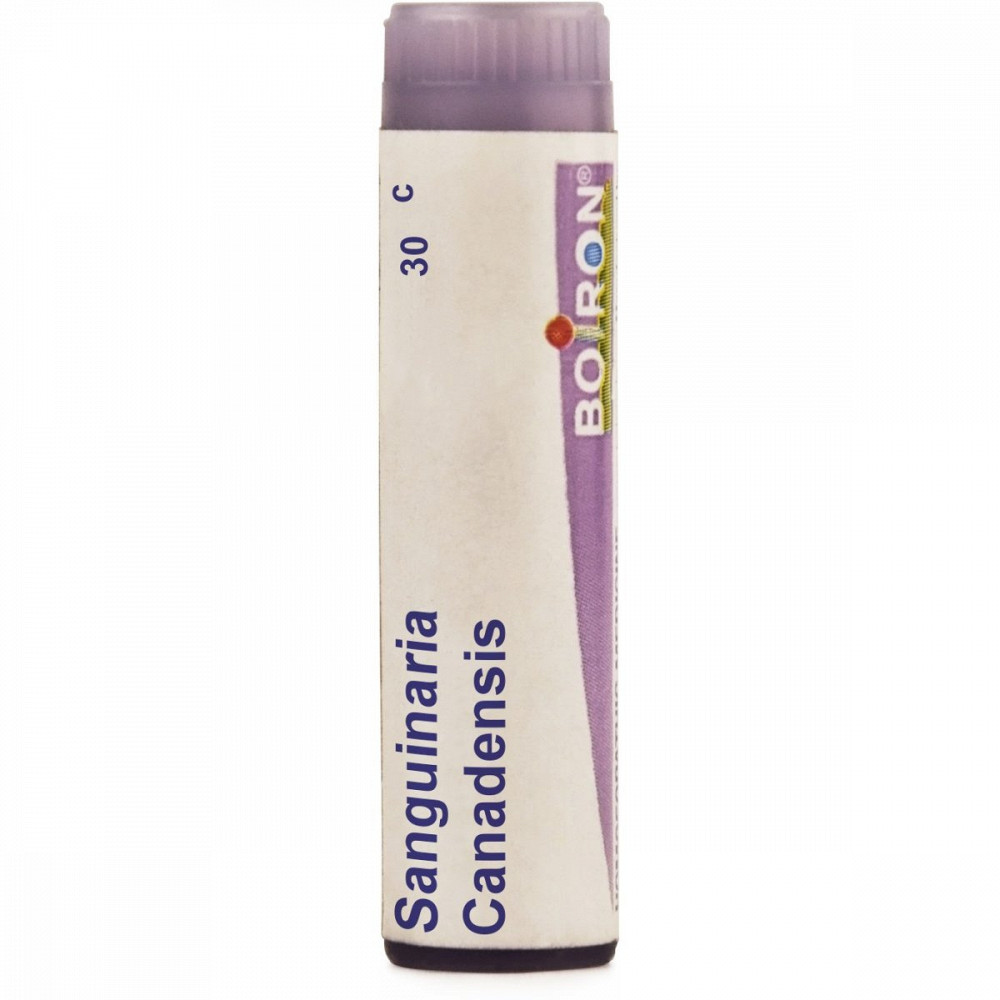 Boiron Sanguinaria Canadensis Multi Dose Pellets 30 CH 4g