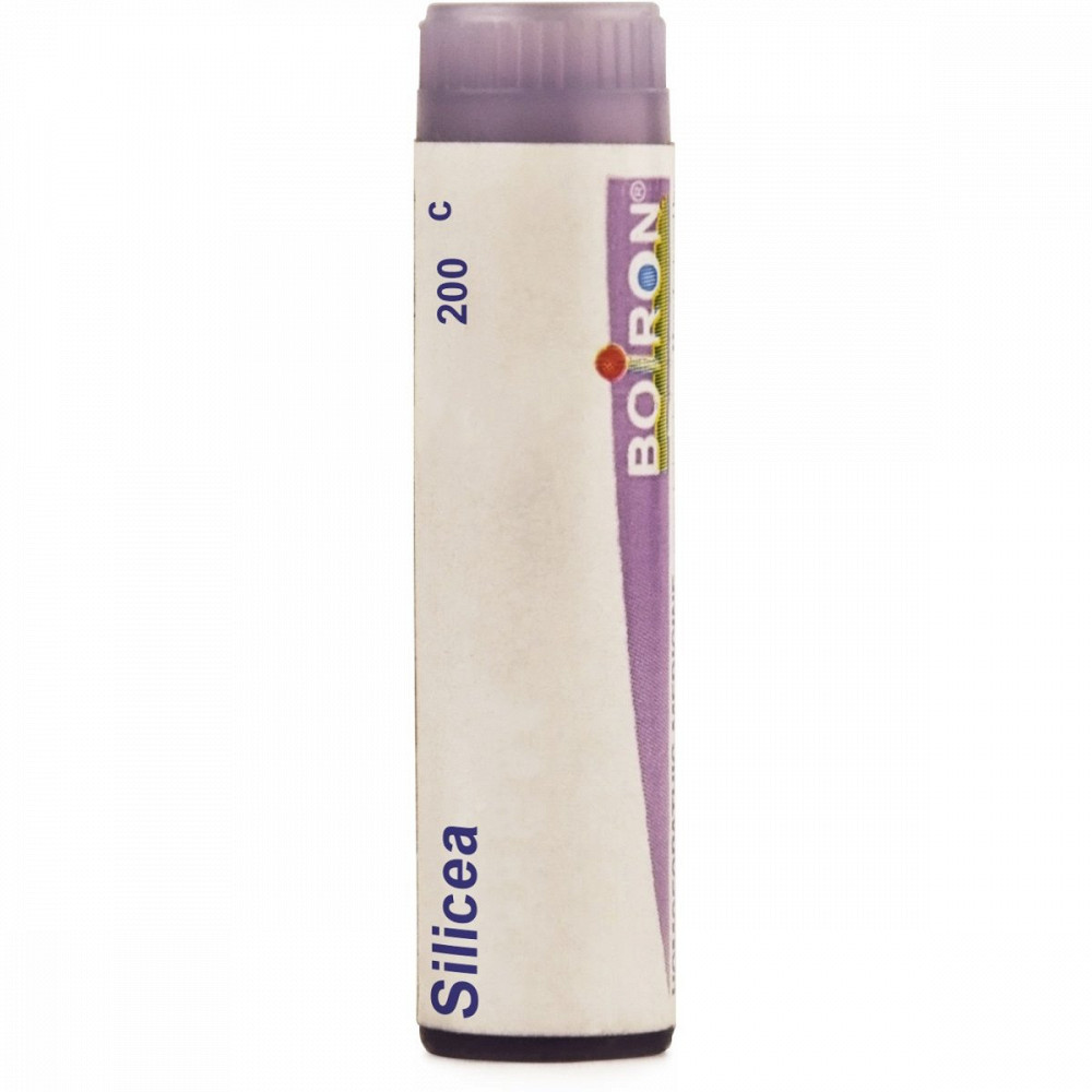 Boiron Silicea Multi Dose Pellets 200 CH 4g Boiron Silicea Multi Dose Pellets 200 CH 4g
