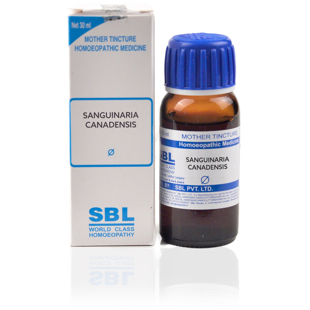 SBL Sanguinaria Canadensis 1X Q 30ml