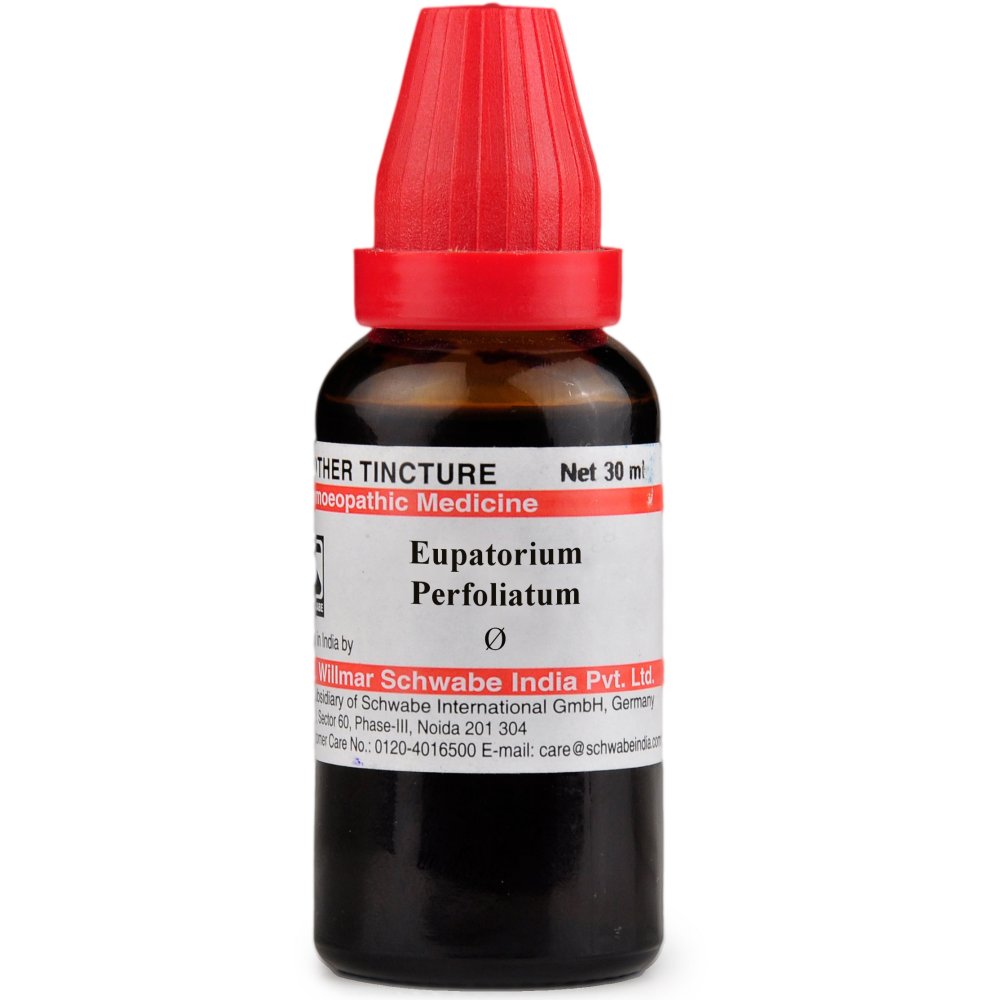 Willmar Schwabe India Eupatorium Perfoliatum 1X Q 30ml