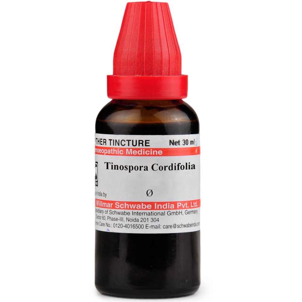 Willmar Schwabe India Tinospora Cordifolia 1X Q 30ml Willmar Schwabe India Tinospora Cordifolia 1X Q 30ml