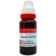 Dr. Reckeweg Eupatorium Perfoliatum 1XQ 20ml