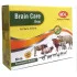 MDHL Brain Care Mixture 30ml