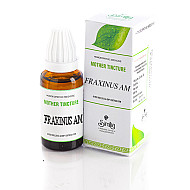 Similia India Fraxinus Americana 1X Q 30ml