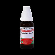 Adel Pekana Chelidonium Majus 1XQ 20ml