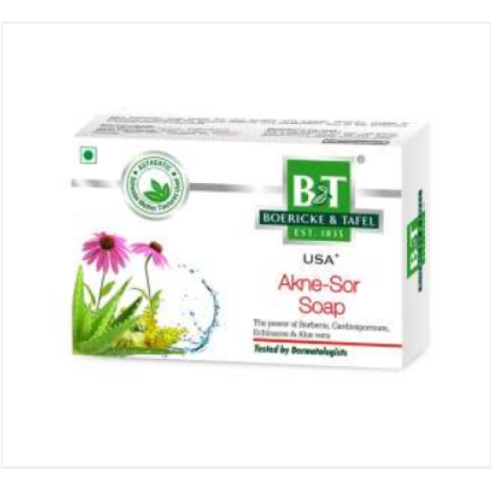Willma Schwabe India B&T For Akne Sor Soap (75g) Schwabe India B&T
