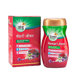 Zandu Kesari Jivan Sugar Free 450 gm