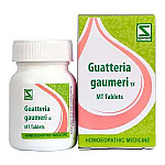 Willmar Schwabe India Gautteria Gaumeri 1X Tablets 20g