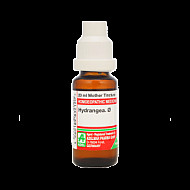 Adel Pekana Hydrangea Arborescens 1X Q 20ml