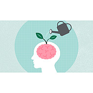 SBL Bacopa MunnieriBrahmi 1X Q 30ml