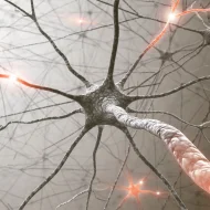 SBL Five Phos A+ Syrup 500ml