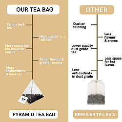 Detox Green Tea - Helps with Liver Detox, Intestinal Health and Metabolism