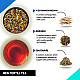 Teacurry Fertility Tea For Women with Diet Chart - Women Fertility Tea