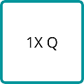 1X Q 