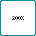 200X