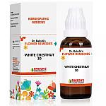 Bakson Flower Remedies WHITE CHESTNUT 30ch 30ml