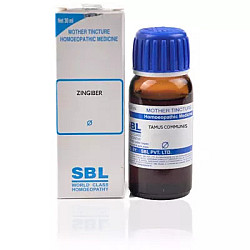 SBL Zingiber 1X Q 30ml
