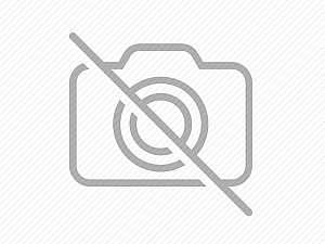 Homoeopathic remedies for treating fungal infection