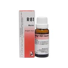 Dr. Reckeweg R81 Maldol 22ml