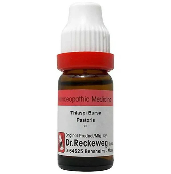 Dr. Reckeweg Thlaspi Bursa Pastoris 30 CH 11ml