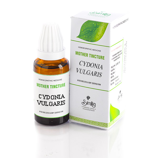 Similia India Cydonia Vulgaris 1X Q 30ml