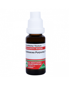 Adel Pekana Echinacea purpurea 1X Q 20ml