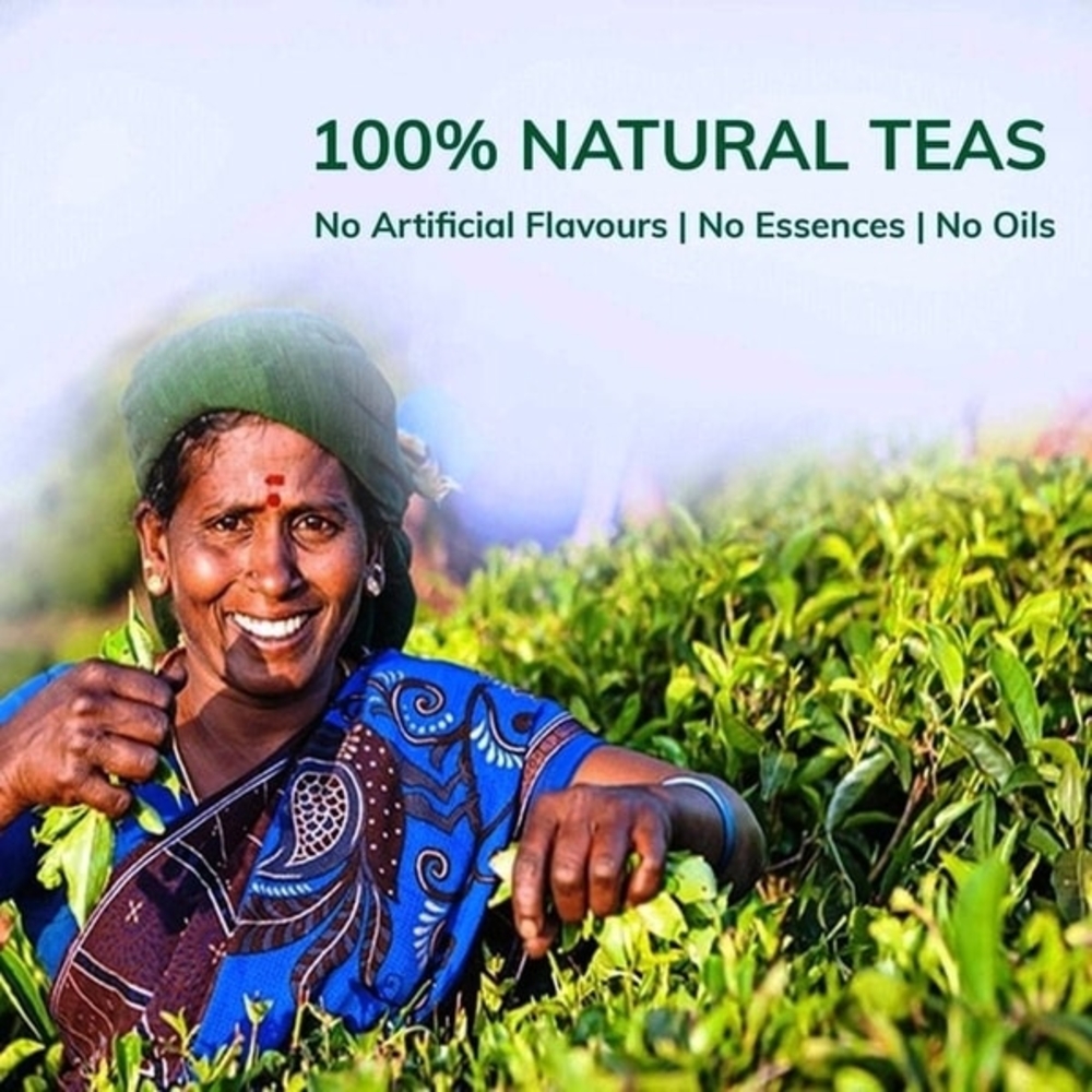 Teacurry Slimming Tea - Helps in Weight Loss for both Men & Women