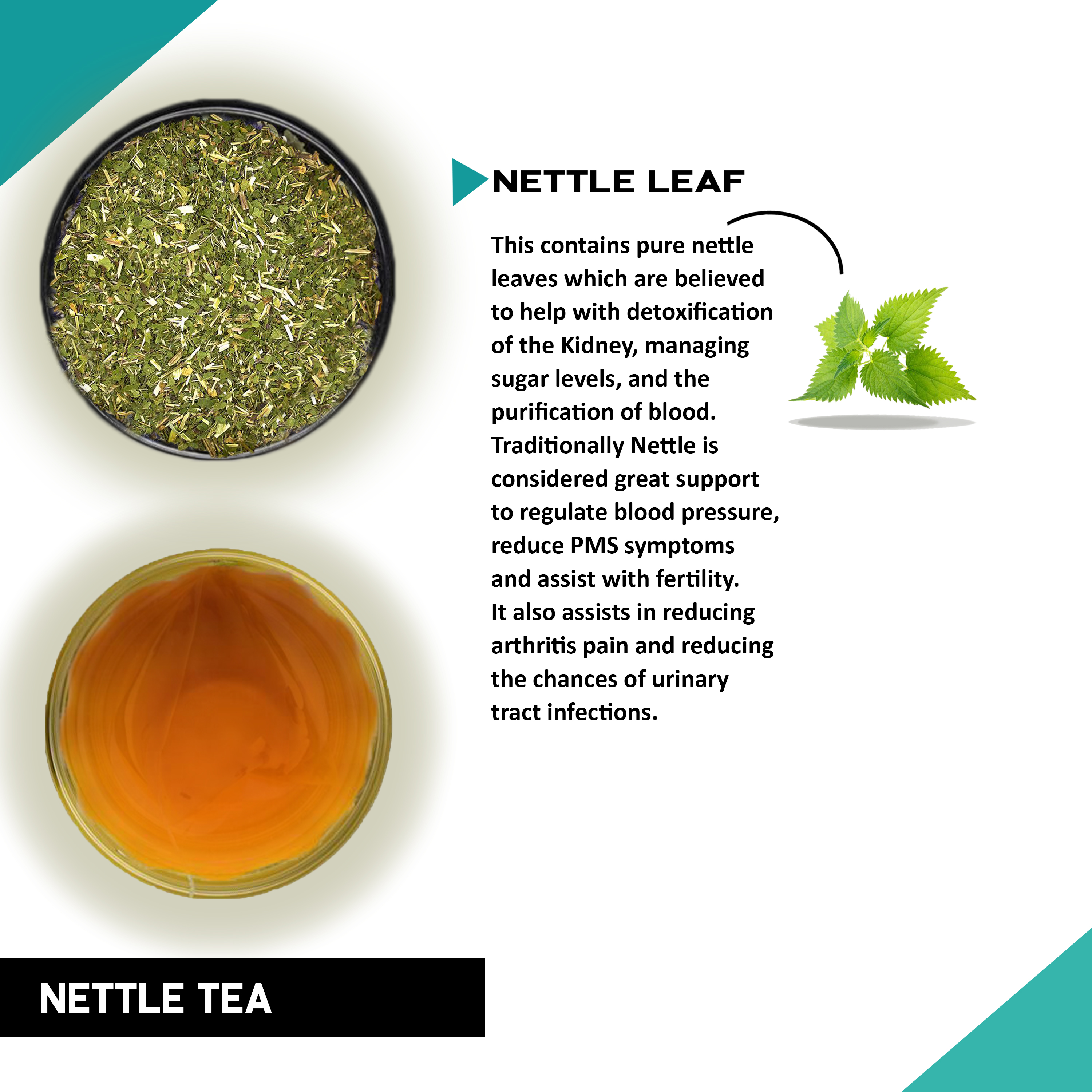 Stinging Nettle Tea - Helps with Kidney Detox, Blood Sugar, Blood Purify